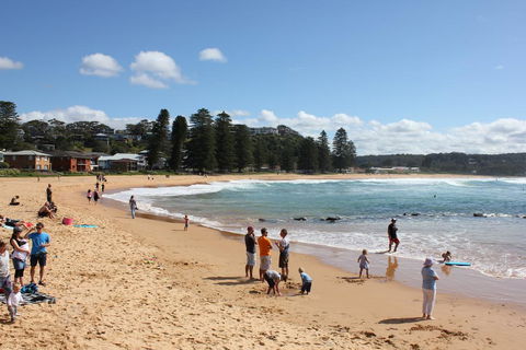 Avoca Beach Cape Cottage - Accommodation Tasmania 0
