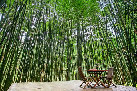 Azabu Boutique Accommodation - Accommodation Tasmania 1