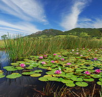 Barrington Hideaway- River Cottages - Accommodation Tasmania