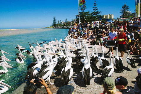 Beach And Ocean Front Penthouse With Wifi And Parking - Accommodation Tasmania 2