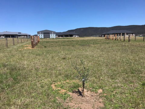 Rosehill Vines - Accommodation Tasmania 3