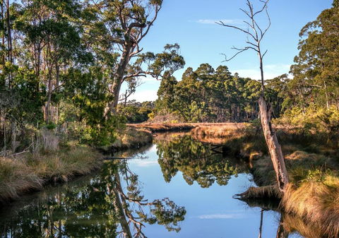 Saintys Creek Cottage - Accommodation Tasmania 3