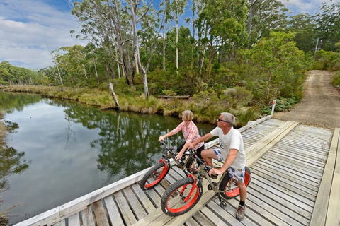 Saintys Creek Cottage - Accommodation Tasmania 2