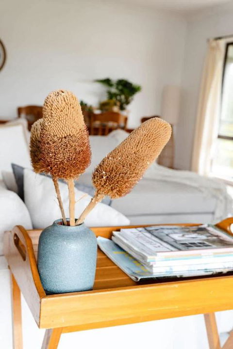 Salt Bush Cottage Peterborough - Accommodation Tasmania 1