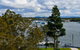 Beachport Apartments - thumb 3