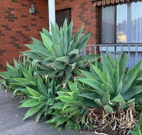Beautiful Bedroom in Bentleigh East - Accommodation Tasmania