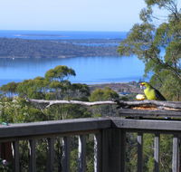 Bed in the Treetops BB - Accommodation Tasmania