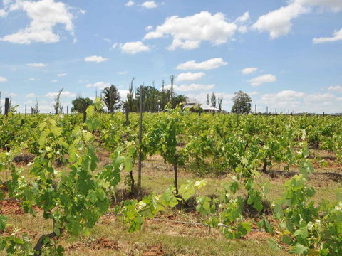 Beggars Bridge Vineyard Homestead W/ Pool + Wifi + Tennis + Vineyard - Accommodation Tasmania 2