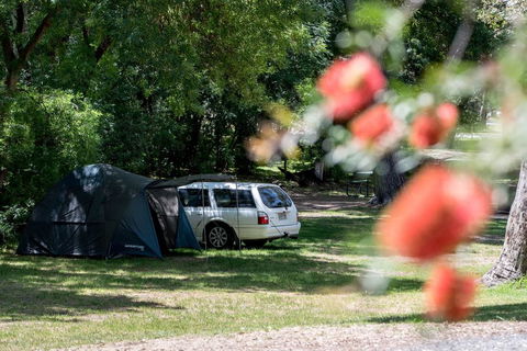 Belair National Park Holiday Park - Accommodation Tasmania 0