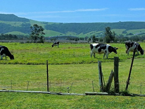 Bella Vista - Accommodation Tasmania 3