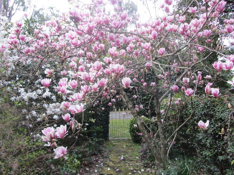 Bellawongarah At Berry - Accommodation Tasmania 1
