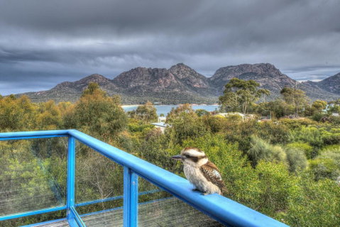 Blue Gum Retreat - Accommodation Tasmania 2