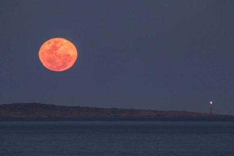 Blue Waters Holiday Cottages - Accommodation Tasmania 1
