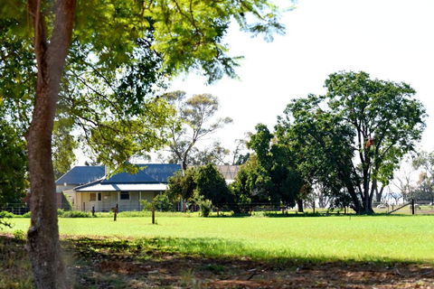 The Jetty Hut - Lake Frontage Barmera Riverland - Accommodation Tasmania 2