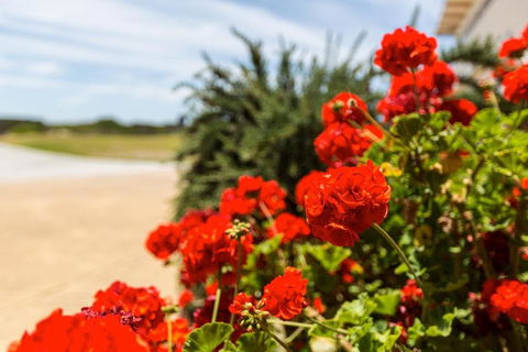 Wytonia Beachfront Accommodation - Accommodation Tasmania 3