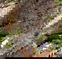 3-Day Kakadu 4WD Camping Safari from Darwin - Accommodation Tasmania