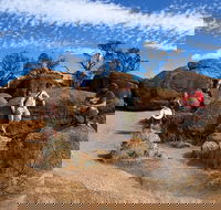 The Big Wave Rock Private Day Tour - Accommodation Tasmania