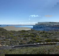 Penguin Island And Fremantle - Canoe Chocolate  Coffee - Accommodation Tasmania