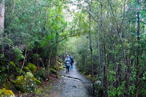 Kunanyi/Mt Wellington Tour & Hobart Hop-On Hop-Off Bus - Accommodation Tasmania 1