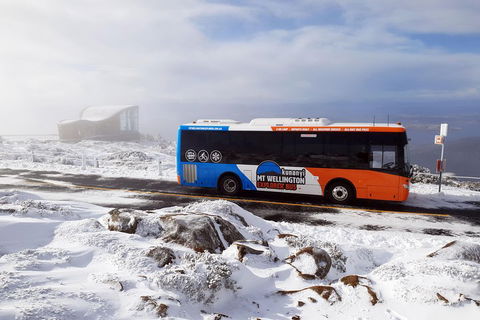 Kunanyi/Mt Wellington Tour & Hobart Hop-On Hop-Off Bus - Accommodation Tasmania 2