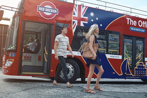 Kunanyi/Mt Wellington Tour & Hobart Hop-On Hop-Off Bus - Accommodation Tasmania 4