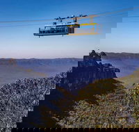 Private Guided Blue Mountains Hiking  Nature Tour - Accommodation Tasmania