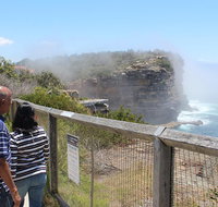Sydney Shore Excursion Half-Day Sydney City Highlights with Bondi Beach and Watsons Bay - Accommodation Tasmania