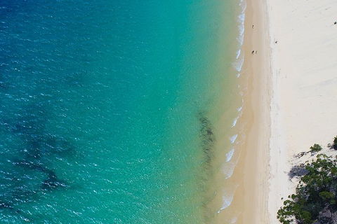 Private Tangalooma Wrecks Tour - Accommodation Tasmania 1