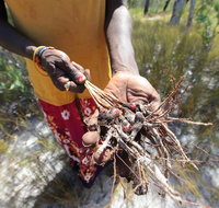Gay-Wu Woman's 5 Day Yolngu Homeland Tour - Accommodation Tasmania