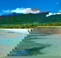 5-Day Best of Cairns with Daintree Kuranda and Great Barrier Reef - Accommodation Tasmania