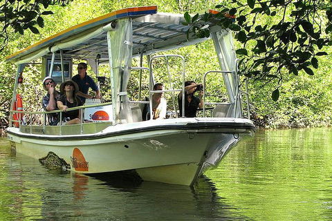 5-Day Best Of Cairns With Daintree, Kuranda, And Great Barrier Reef - Accommodation Tasmania 1