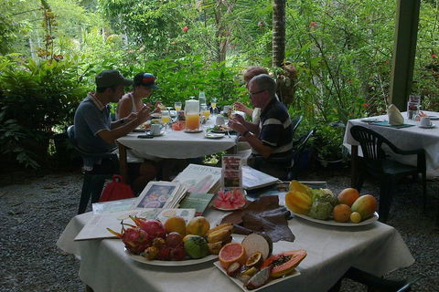 5-Day Best Of Cairns With Daintree, Kuranda, And Great Barrier Reef - Accommodation Tasmania 4