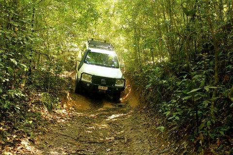 Barron Gorge And Kuranda National Park Half Day Rainforest And Waterfall 4WD Tour From Cairns - Accommodation Tasmania 2