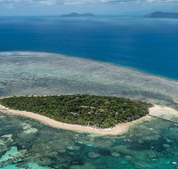 4-Day Cairns with Great Barrier Reef and Daintree Rainforest - Accommodation Tasmania