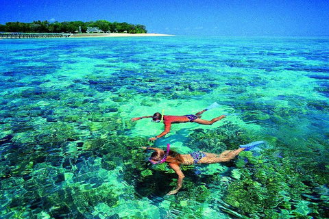 4-Day Cairns With Great Barrier Reef And Daintree Rainforest - Accommodation Tasmania 2
