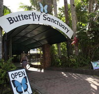 Kuranda Day Trip from Port Douglas upgrade to Skyrail  Scenic train available - Accommodation Tasmania