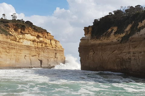 12 Apostles Tour From Warrnambool - Accommodation Tasmania 2