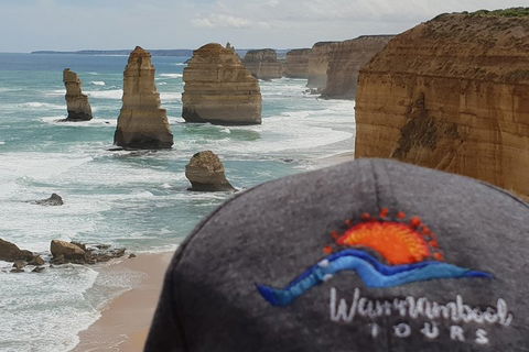12 Apostles Tour From Warrnambool - Accommodation Tasmania 4