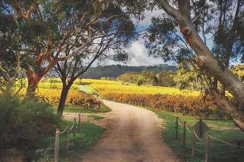 McLaren Vale Winery Small Group Tour With Wine Tasting And Lunch - Accommodation Tasmania 1