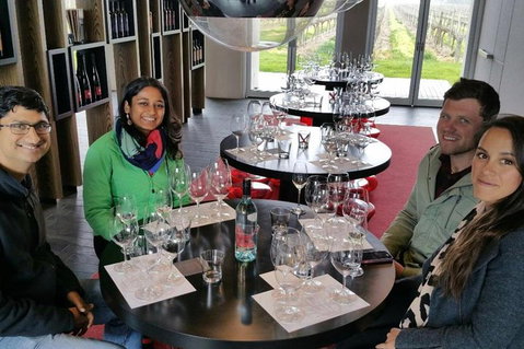 Luxury Private Mclaren Vale Wine Tour - Accommodation Tasmania 1