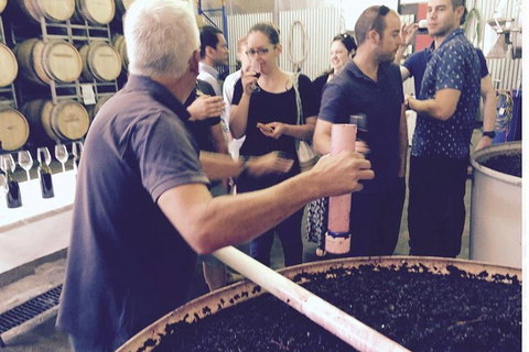 Luxury Private Mclaren Vale Wine Tour - Accommodation Tasmania 4