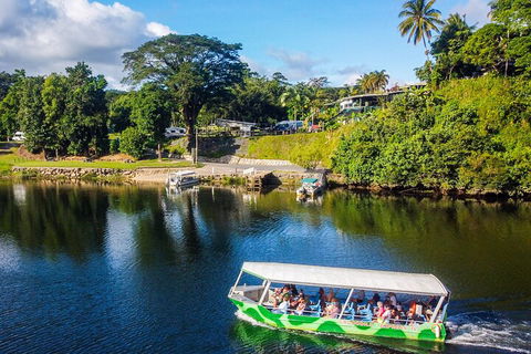 Afternoon Half-Day Daintree Rainforest And River Tour - Accommodation Tasmania 1