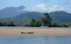 Afternoon Half-Day Daintree Rainforest And River Tour - thumb 2