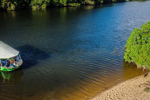 Afternoon Half-Day Daintree Rainforest And River Tour - Accommodation Tasmania 3