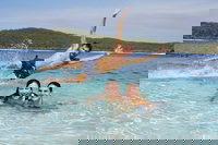 Book Viator Accommodation Vacations Accommodation Tasmania Accommodation Tasmania