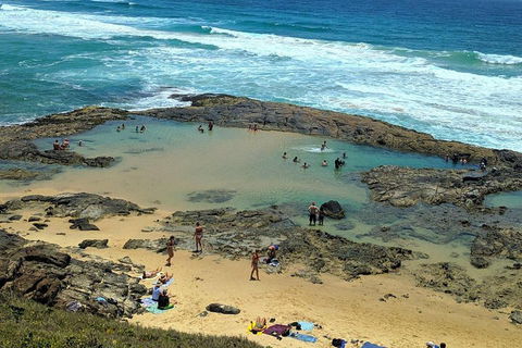 Pippies 3 Days 2 Nights Fraser Island Tour - Accommodation Tasmania 5