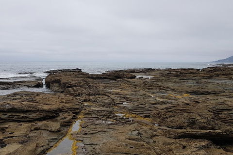 Luxury Private Great Ocean Road Tour Up To 11 People - Entire Vehicle - Accommodation Tasmania 1