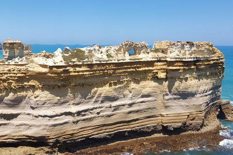 Luxury Private Great Ocean Road Tour Up To 11 People - Entire Vehicle - Accommodation Tasmania 4