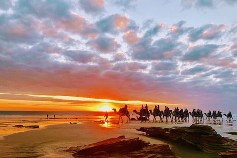 1 Hour Broome Sunset Camel Tour - Accommodation Tasmania 0