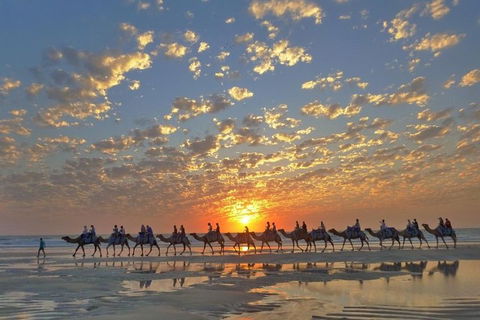 1 Hour Broome Sunset Camel Tour - Accommodation Tasmania 1